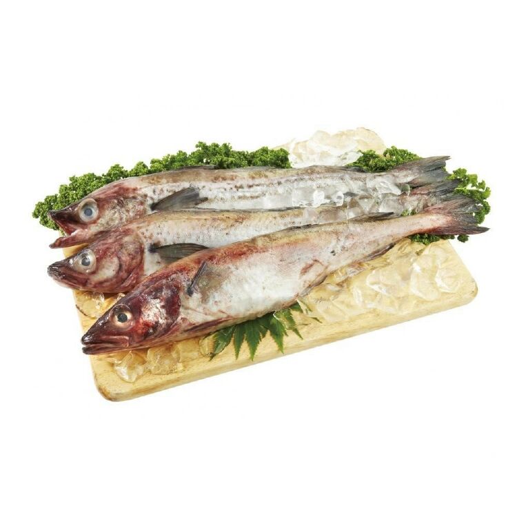 Các loại cá thích hợp để làm chả cá Hàn Quốc Các loại cá thích hợp để làm chả cá Hàn Quốc